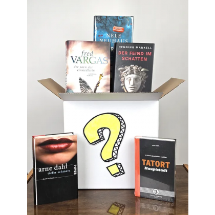 Mystery B&uuml;cher Box - Krimi Romane (5 B&uuml;cher)