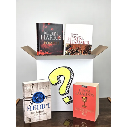 Mystery B&uuml;cher Box - Historische Romane (4 B&uuml;cher) 