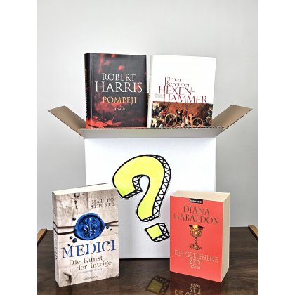 Mystery B&uuml;cher Box - Historische Romane (4 B&uuml;cher) 