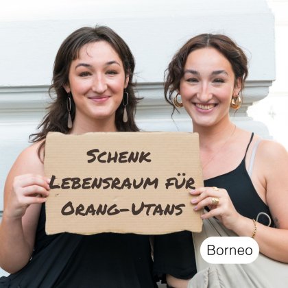 Schaff Lebensraum f&uuml;r Orang Utans