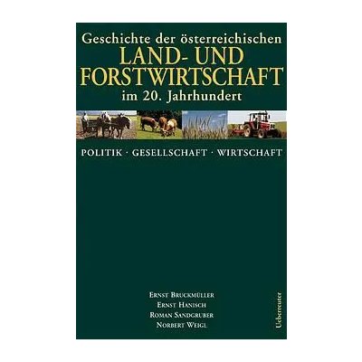 Politik, Geschichte, Wirtschaft - Ernst Bruckmüller, Roman Sandgruber
