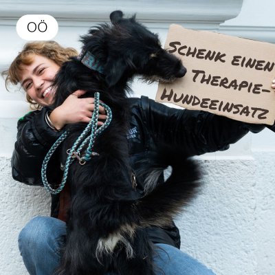 Schenk Senior*innen einen Therapiehundeeinsatz