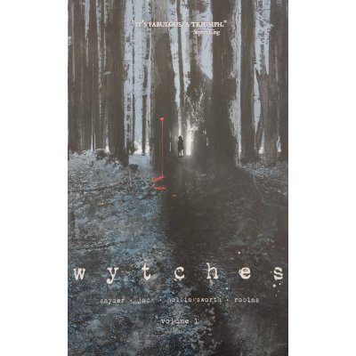 Wytches, Volume 1 - image