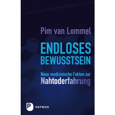 Endloses Bewusstsein - Pim van Lommel