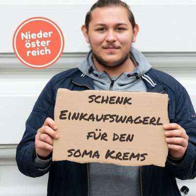 Schenk Einkaufswagerl für den soma Krems 