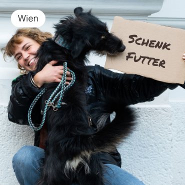 Schenk Futter für einen Hund 