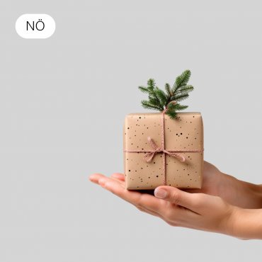 Schenk Fitness für Menschen mit psychischer Erkrankung