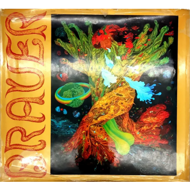 Brauer - MONOGRAPHIE - mit Werkkatalog - Wieland Schmied, Erich Brauer