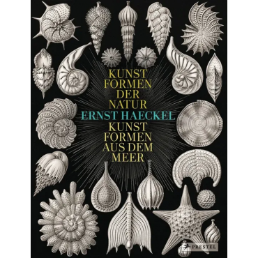 Kunstformen der Natur, Kunstformen aus dem Meer - Ernst Haeckel