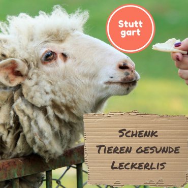 Schenk Tieren vitaminreiche Leckerlis für ihre Gesundheit 