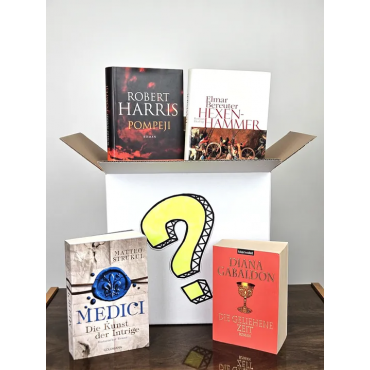 Mystery Bücher Box - Historische Romane (4 Bücher)