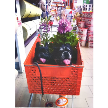 MUMOK - Ausstellungskatalog - Cosima von Bonin - Karola Kraus