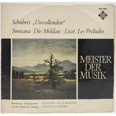 Vinyl LP - Schubert, Smetana, Liszt - Meister der Musik 