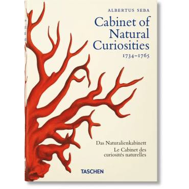 Albertus Seba-  Cabinet of Natural Curiosities 1734-1765 - 40th Ed. - Irmgard Müsch, Jes Rust, Rainer Willmann