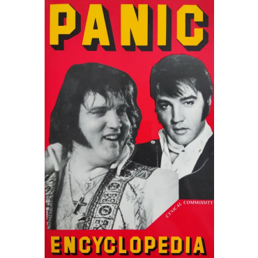 Panic Encyclopedia - Arthur Kroker, Marilouise Kroker, David Cook
