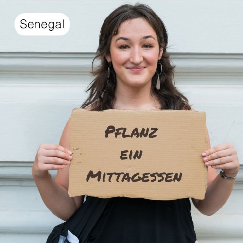 Pflanz Papayabäume im Senegal