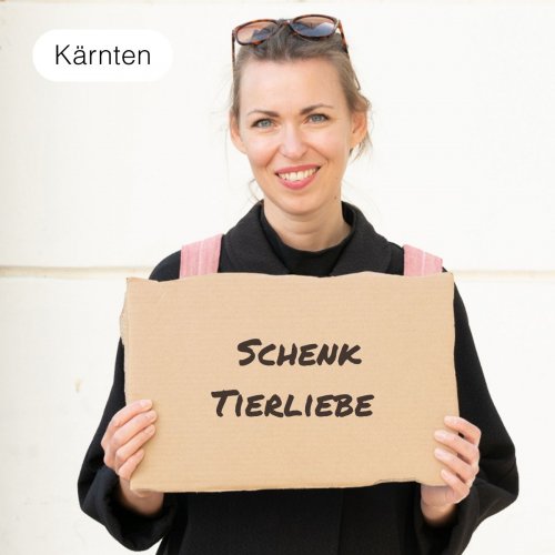 Schenk eine Dose Tierfutter für die Unterkunft