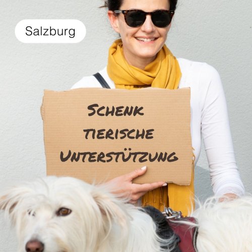 Schenk tierische Unterstützung