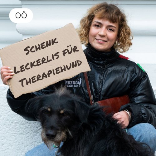 Schenk Leckerlis für einen Therapiehund