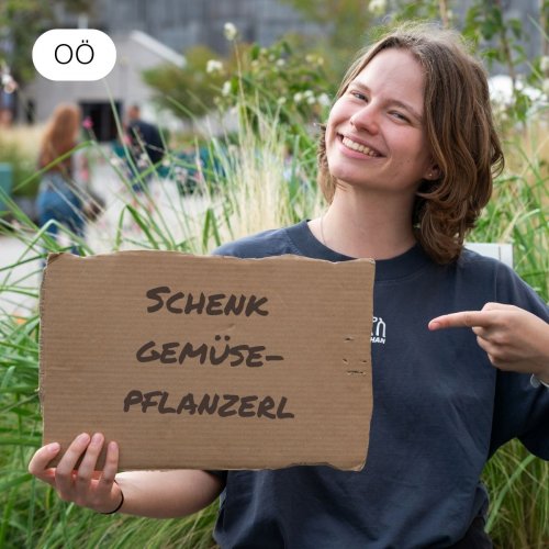 Schenk Gemüsepflanzerl für Kinder mit Beeinträchtigungen in St. Isidor 