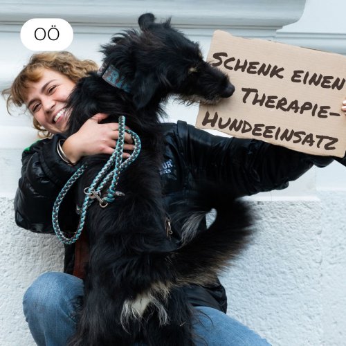 Schenk Senior*innen einen Therapiehundeeinsatz
