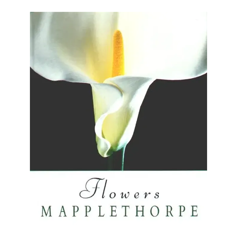Wirhelfen.shop - Flowers - Robert Mapplethorpe